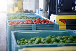 Ozone For Food Processing923