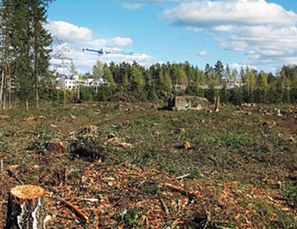 微信图片 20250926170818 822 15