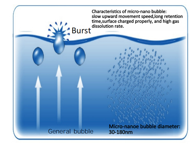 Micro Nano Bubbles